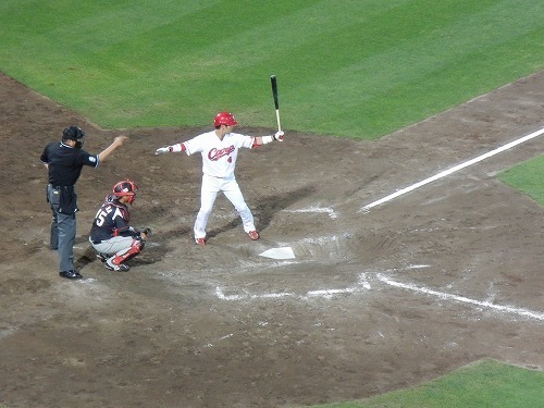 DSCN2790.jpg