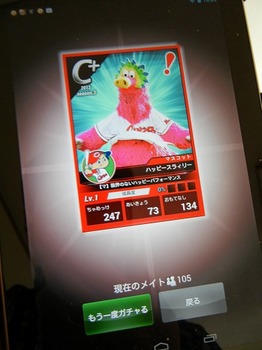 DSCN5513.jpg