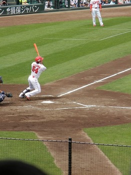 DSCN5889.jpg