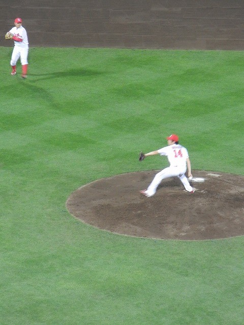 DSCN6185.jpg