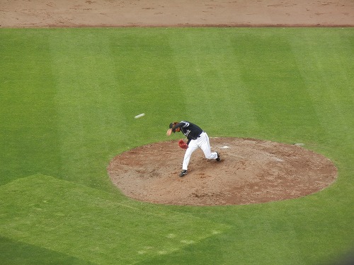 DSCN6578.jpg