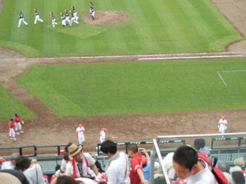 DSCN6582.jpg