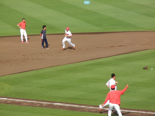 DSCN6966.jpg