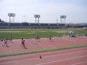 DSCN8148.jpg