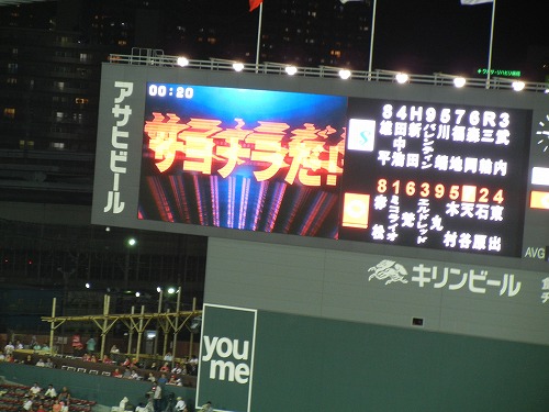 DSCN9481.jpg