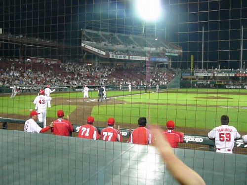 P1020135.jpg