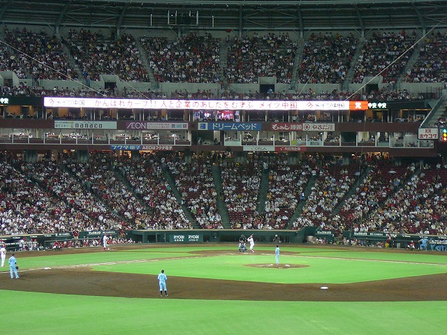 P1060494.jpg