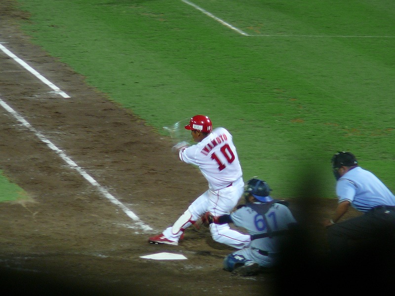 P1060576.jpg